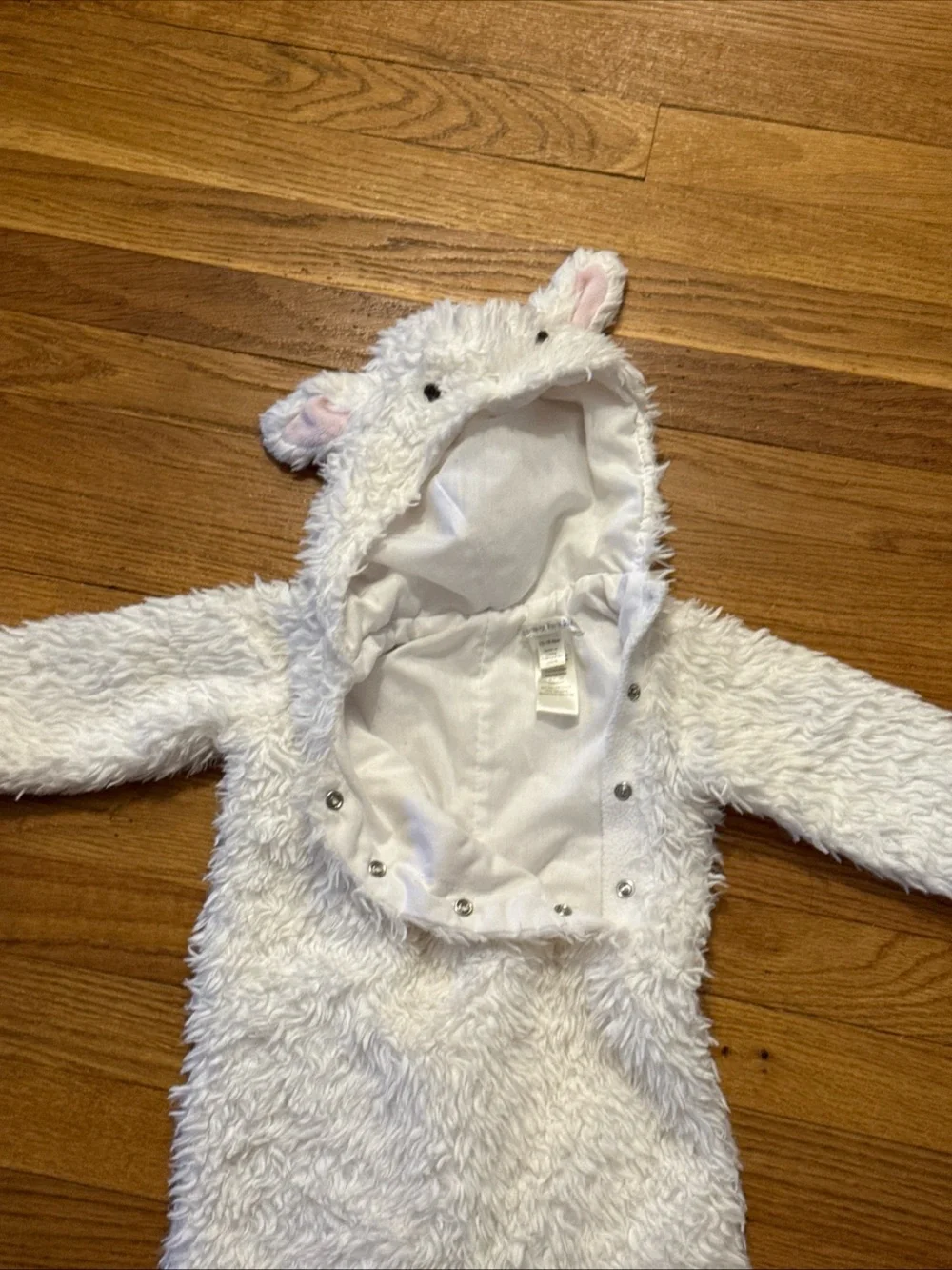 Pottery Barn Kids this adorable